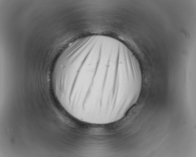 X0000113160066200910021510