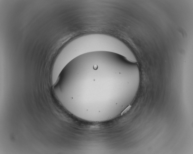 X0000113160068200910021510