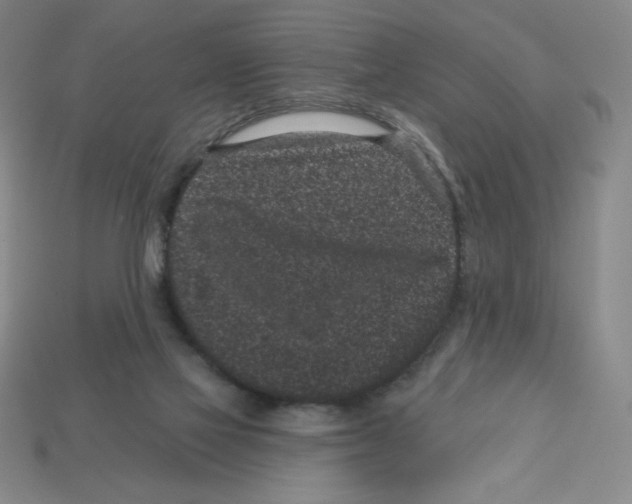 X0000113160069200910021510