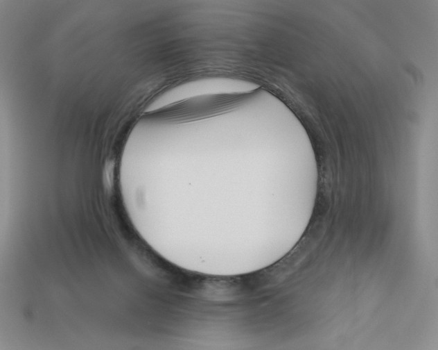 X0000113160070200910021510