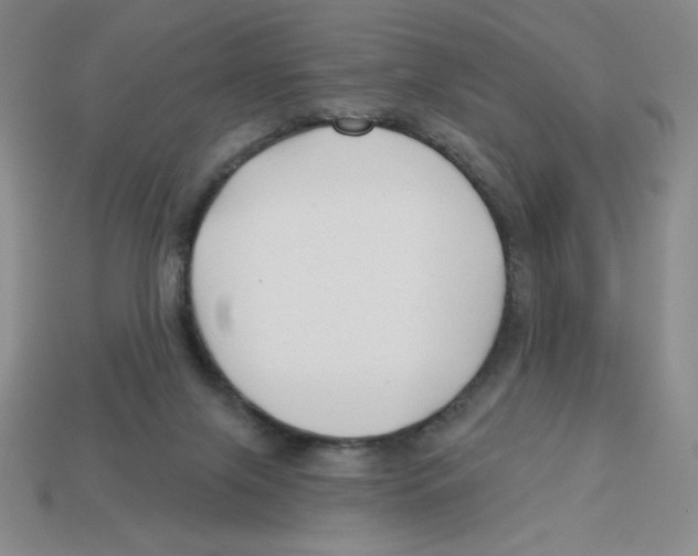 X0000113160071200910021510