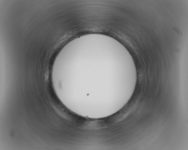 X0000113160072200910021510