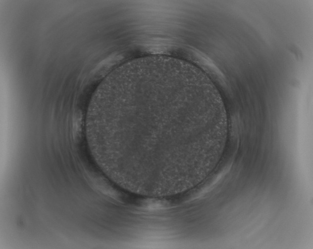 X0000113160073200910021510