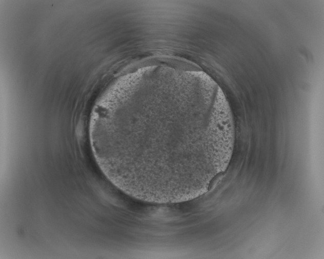 X0000113160074200910021510