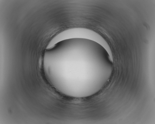 X0000113160076200910021510