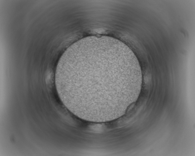 X0000113160079200910021510