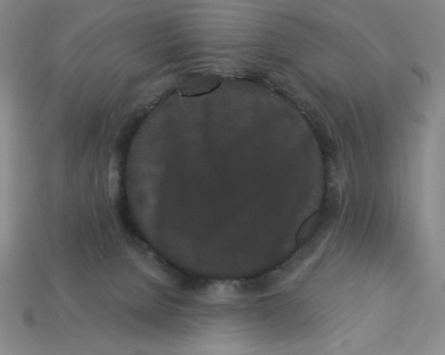 X0000113160080200910021510