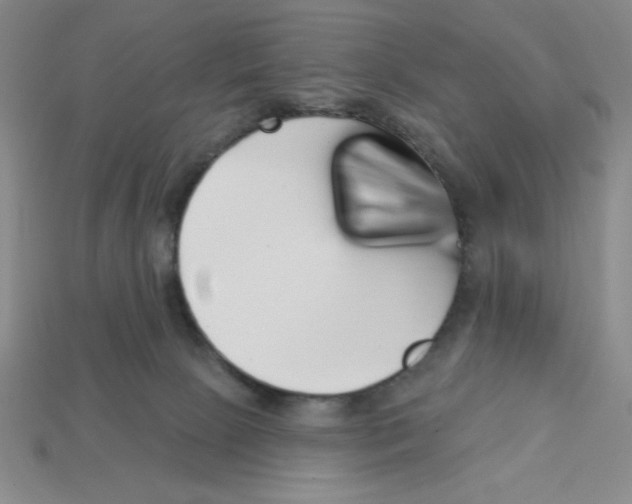 X0000113160081200910021510