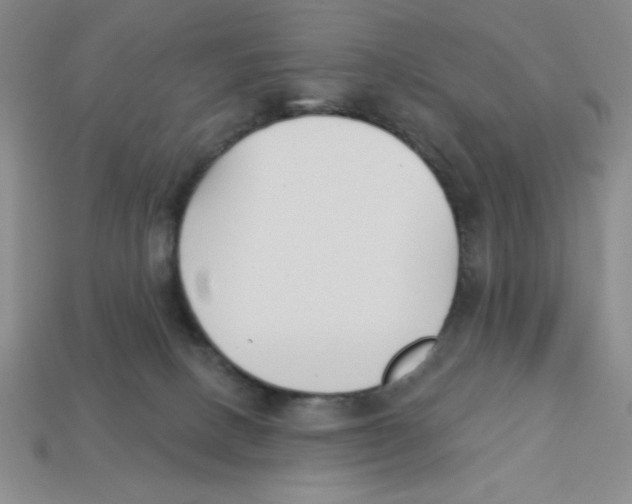 X0000113160082200910021510