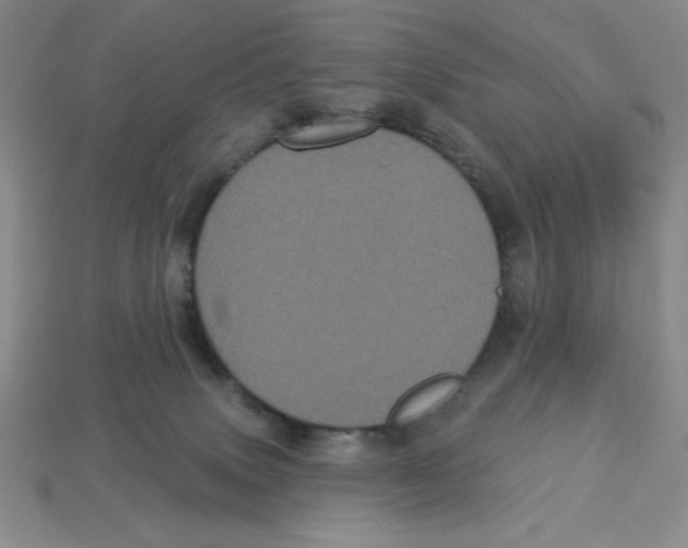 X0000113160083200910021510