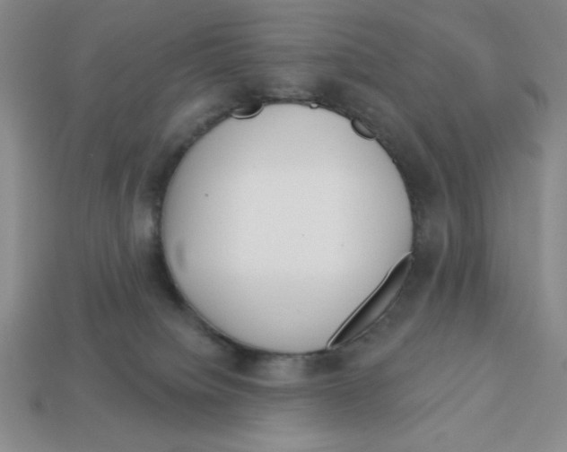 X0000113160084200910021510