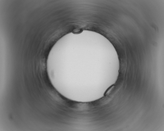 X0000113160085200910021510