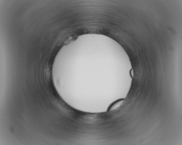 X0000113160086200910021510