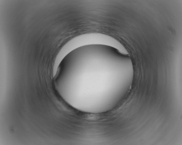 X0000113160088200910021510