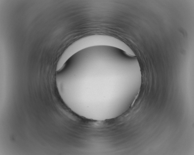 X0000113160092200910021510