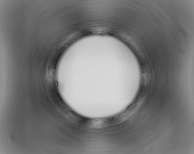 X0000113160093200910021510