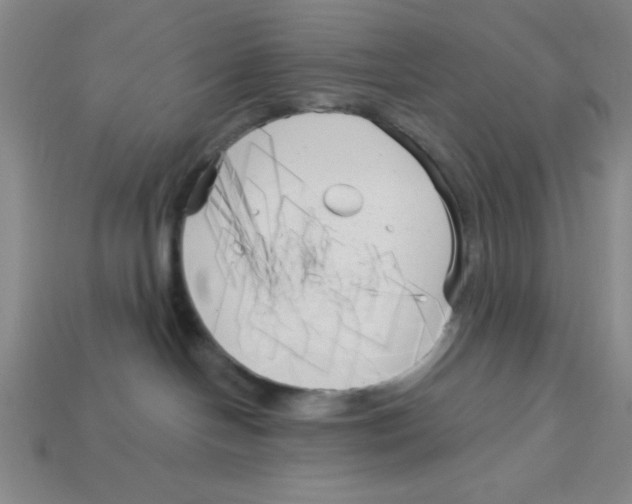 X0000113160094200910021510