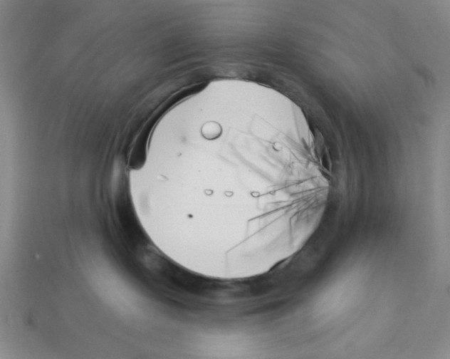 X0000113160095200910021510