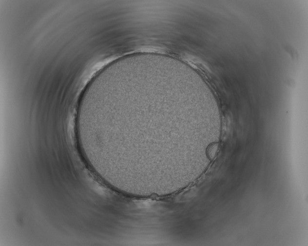 X0000113160098200910021509