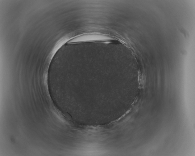 X0000113160099200910021509