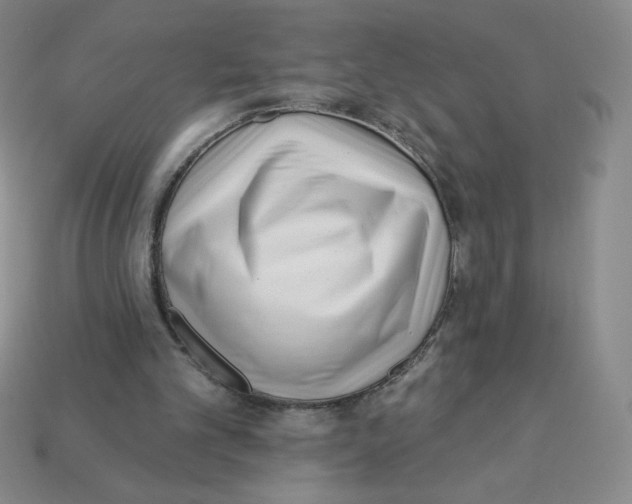 X0000113160101200910021509