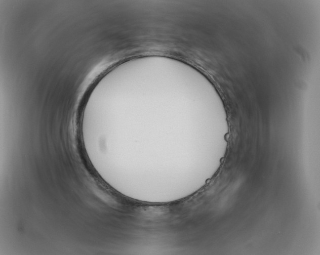 X0000113160102200910021509