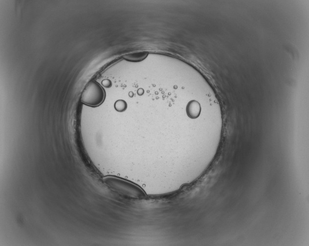 X0000113160103200910021509