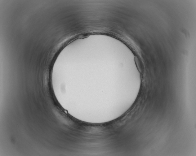 X0000113160107200910021509