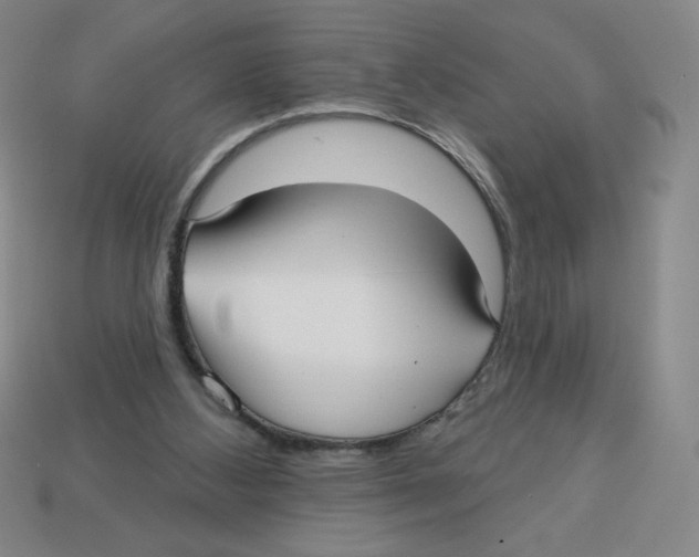 X0000113160108200910021509