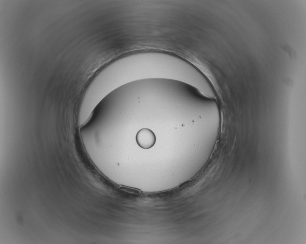 X0000113160109200910021509