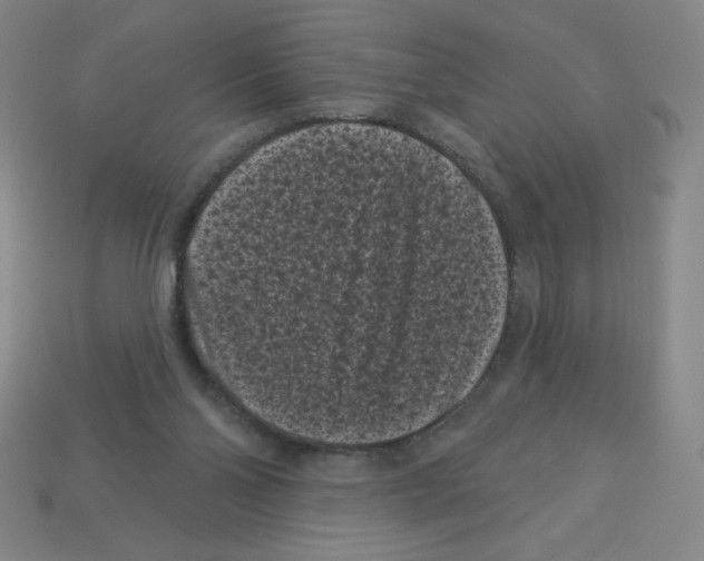 X0000113160110200910021509