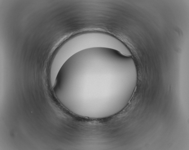 X0000113160112200910021509