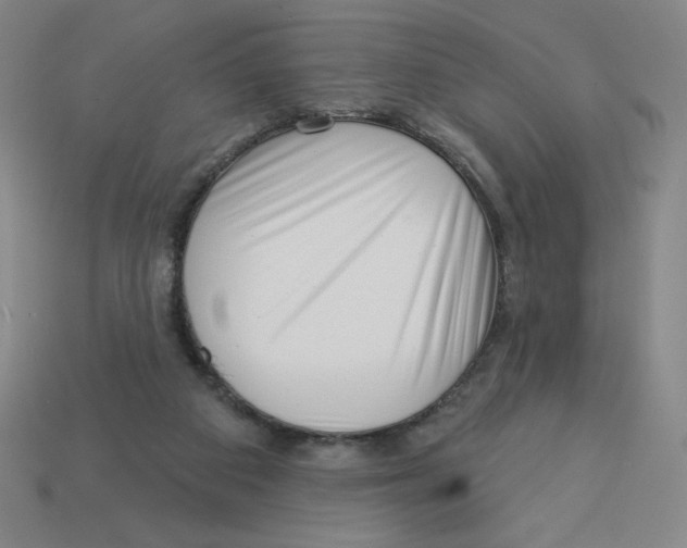 X0000113160113200910021509