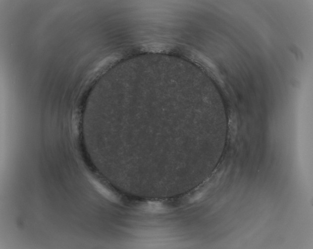 X0000113160114200910021509