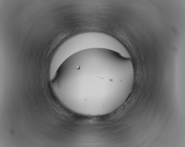 X0000113160116200910021509