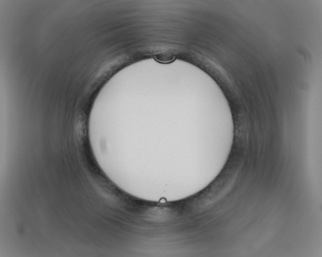 X0000113160119200910021509