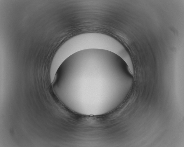 X0000113160121200910021509