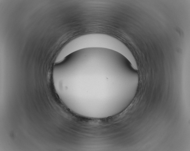 X0000113160124200910021509