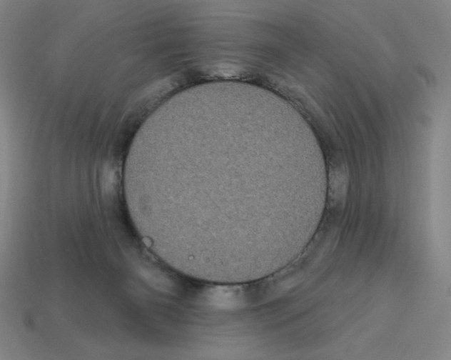 X0000113160126200910021509