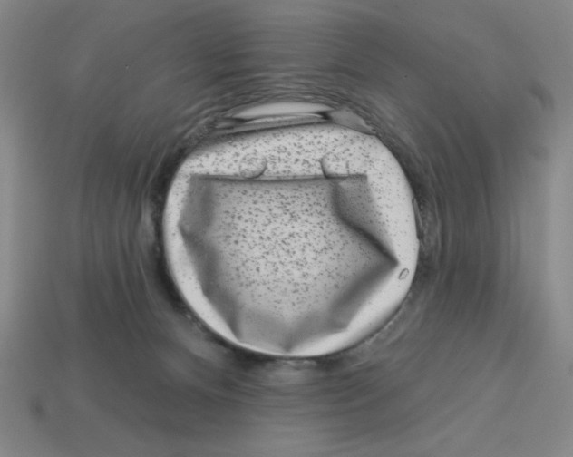 X0000113160128200910021509