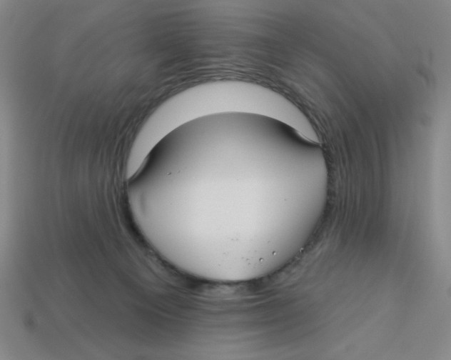 X0000113160129200910021509