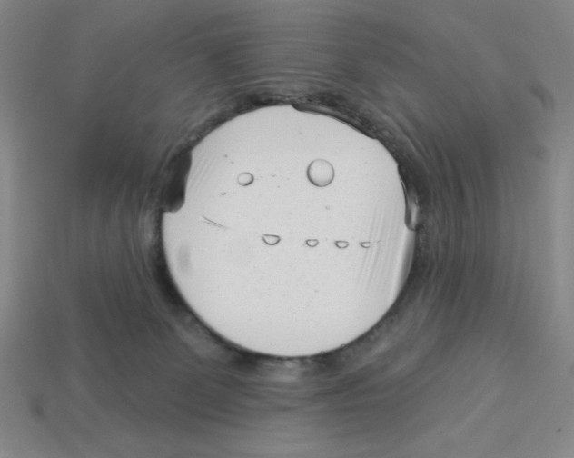 X0000113160131200910021509