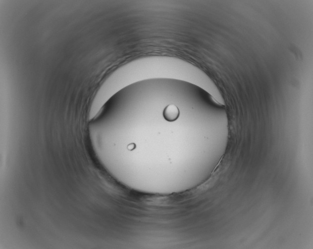 X0000113160132200910021509