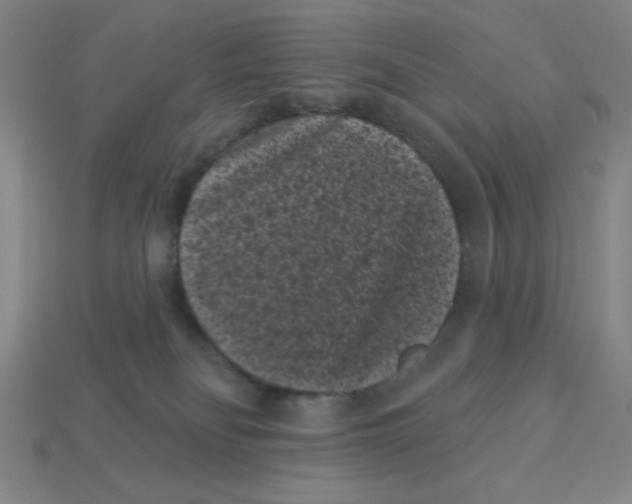 X0000113160134200910021509