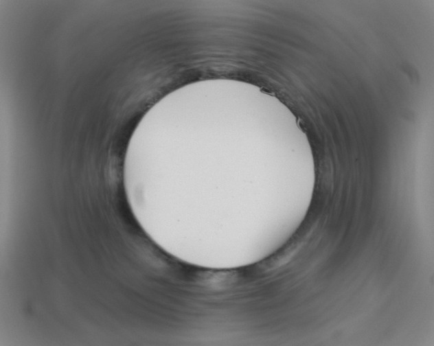 X0000113160135200910021509