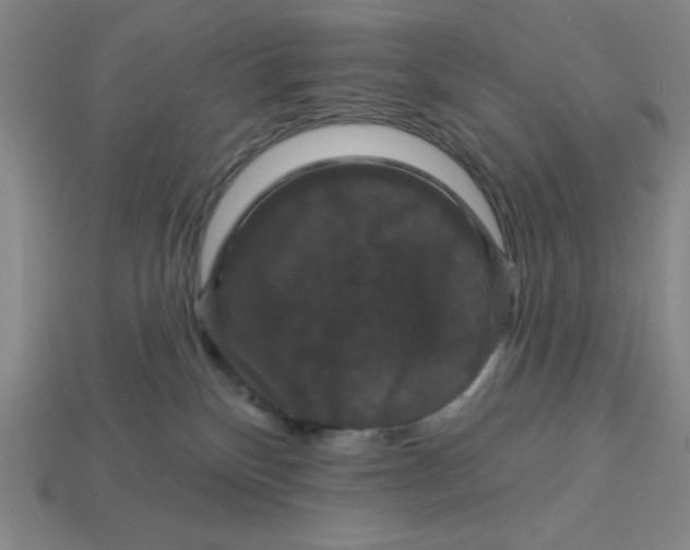 X0000113160136200910021509