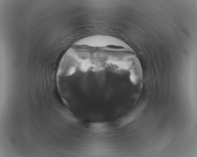 X0000113160139200910021509