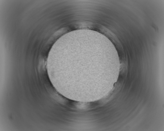 X0000113160142200910021509