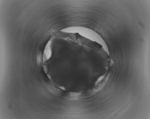 X0000113160143200910021509