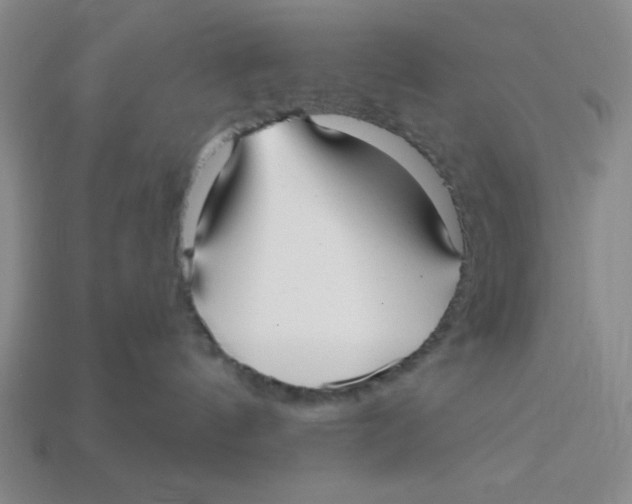 X0000113160144200910021509